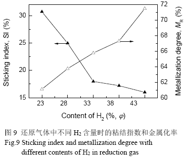 图片11