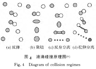 图片8