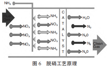 图片6