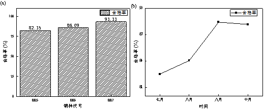 图片7