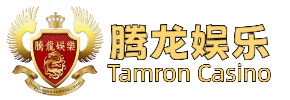 腾龙公司新厅