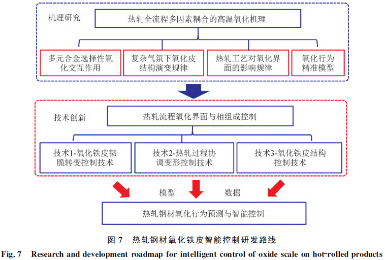图片7